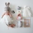 Kit Crochet Swann, jolie ballerine – Coffret Complet, Patron PDF