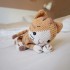 Patron "Caramel, le chaton"