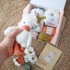Coffret version 1 : Plume, mon petit caneton en fil romance