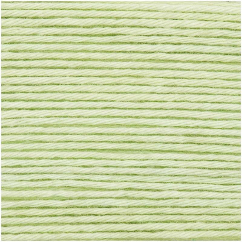 Fil Ricorumi réf.045 Vert pastel